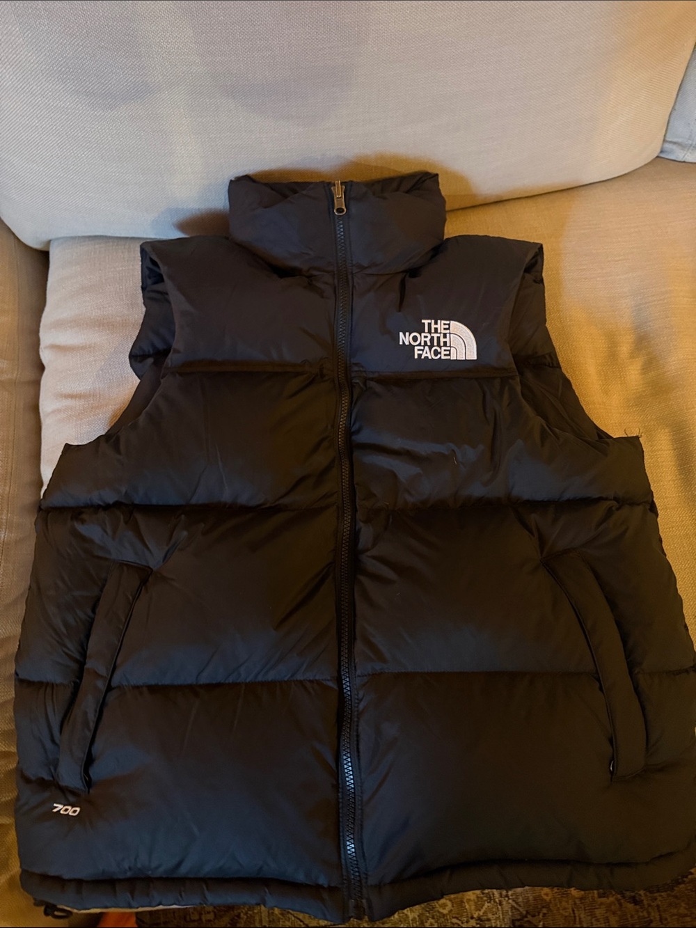 The North Face Black Quilted 700 Down Vest